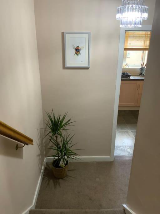 Home From Home, 3 Bedroom House In Hawick Extérieur photo